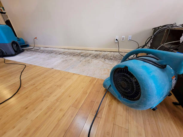 Professional Ceiling Water Damage Repair technician working in Lone Tree, CO
